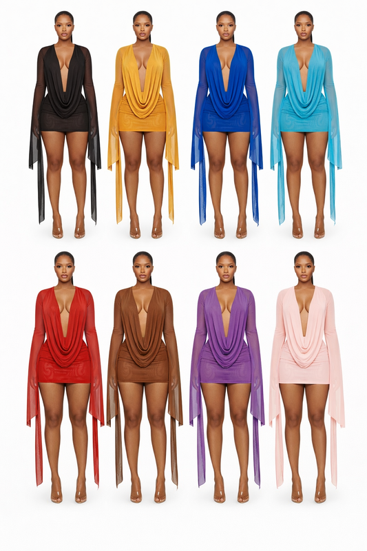 Soft Spoken Sheer Drape Mini Dress